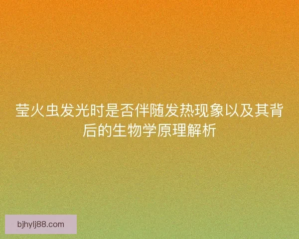 莹火虫发光时是否伴随发热现象以及其背后的生物学原理解析