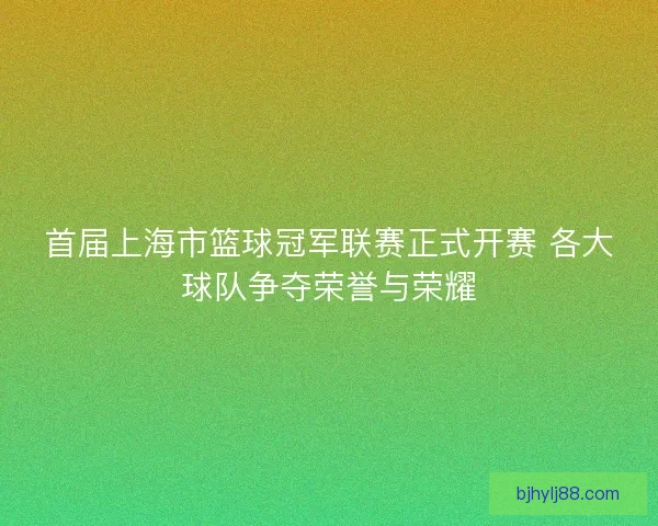 首届上海市篮球冠军联赛正式开赛 各大球队争夺荣誉与荣耀